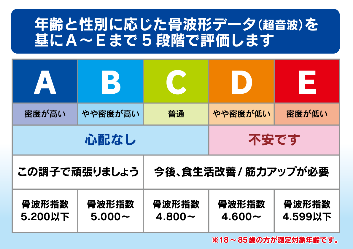 年齢と性別に応じた骨波形データ(超音波)を基にA~Eまで5段階で評価します