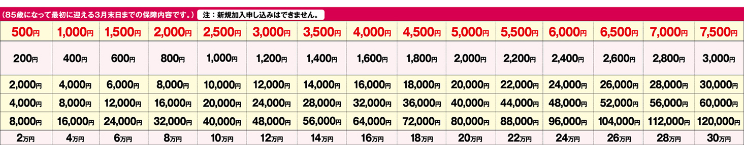 80～85歳