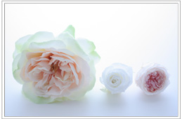 花材の画像
