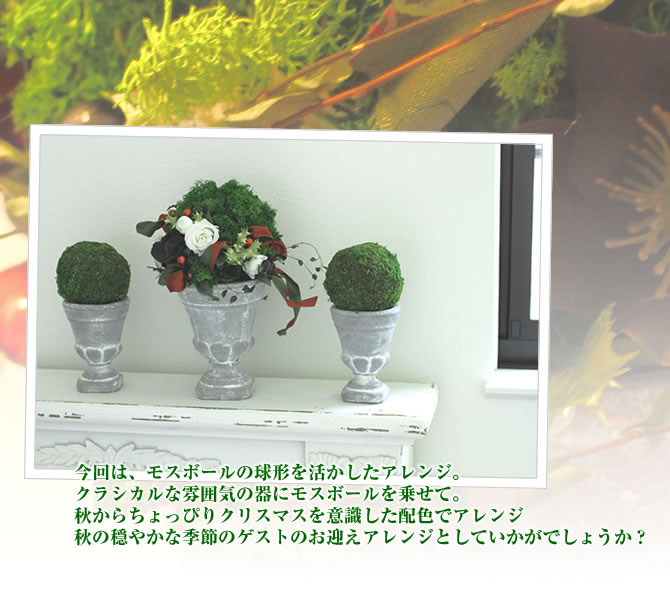 今回は、モスボールの球形を活かしたアレンジ。クラシカルな雰囲気の器にモスボールを乗せて。秋からちょっぴりクリスマスを意識した配色でアレンジ秋の穏やかな季節のゲストのお迎えアレンジとしていかがでしょうか?