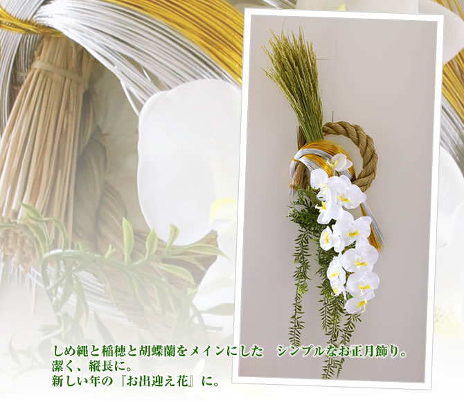しめ縄と稲穂と胡蝶蘭をメインにした シンプルなお正月飾り。潔く、縦長に。新しい年の『お出迎え花』に。