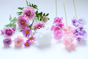 花材の画像