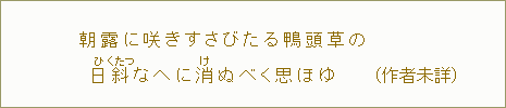 朝露に咲きすさびたる鴨頭草の 日斜<ひくたつ>なへに消<け>ぬべく思ほゆ (作者未詳)