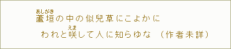 蘆垣【あしがき】の中の似兒草にこよかにわれと咲【えま】して人に知らゆな(作者未詳)