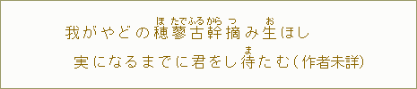我がやどの穂【ほ】蓼【たで】古【ふる】幹【から】摘【つ】み生【お】ほし実になるまでに君をし待【ま】たむ(作者未詳)