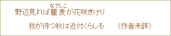 野辺見れば、嬰麦(なでしこ)が花咲きけり 我が待つ秋は近付くらしも (作者未詳)
