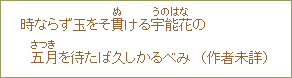 時ならず玉をそ貫ける宇能花の五月を待たば久しかるべみ(作者未詳)