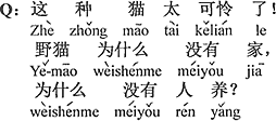 中国語：このような猫は本当に可哀そう。ノラ猫はどうして家がなく、どうして飼う人がいないの？